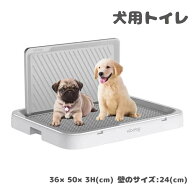 【50円クーポン配布中!】 犬トイレ 大型犬 メッシュ トレーワイド しつけ用 犬トレーニング トレー ドッ…