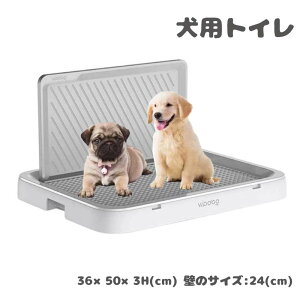 y200~N[|zz!z gC ^ bV g[Ch p g[jO g[ hbOg[ ybggC  O |N ǕtgC (zCg)