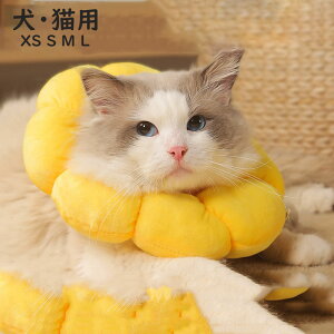 y50~N[|zz! z GUxXJ[ Lp 킢  hbO`CX pЂ܂^SȂ_炩fރ\tg y ʋC pAApAp㏝r