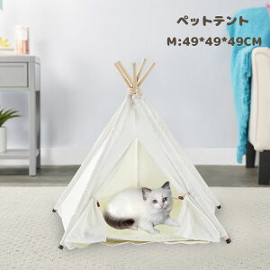 y200~N[|zz! z ybgxbh ybgeg ybgpeg ybg nEX ybg ybgObY   閧n ^ ^ Q TCY49*49*49cm  