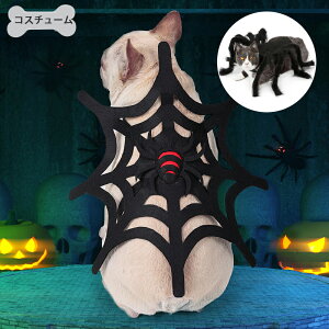 y50~N[|zz! z ybg   L nEB RXv NX}X ߑ RX`[  ybgRXv L p 킢  L/^  ϐgObY nE