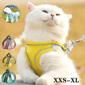 ySS聚10%OFF! z ybg ybgObY Lpi ^  n[lX Ȃ 6TCY AEghA  킢 ȒP bVf f U h~ S