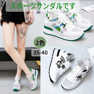 ySS聚10%OFFzT_ fB[X T_ vbgtH[V[Y X|[cT_ nCq[ T_ r[`T_ ؂ fB[XT_ V[Y C T