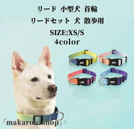 【SS限定★10%OFF!】リード 小型犬 首輪 リードセット 犬 散歩用 かわいい グラデーション 中型犬 小型 犬 おしゃれ かわいい ブランド 痛くない 猫 可愛い (XS、Sサイズ)