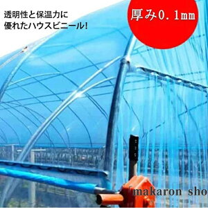 y50~N[|zz!z|p _Ɨp nEX 700cm pnEXrj[ rj[nEX rj[ _Ɨprj[ ͔| |pi nEXrj[ ƒ