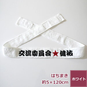  hJ ^In`}L l[hJ n`}L^I ͂܂ V  { 100% iF ACh ObY   IWi TCY 5x120cm