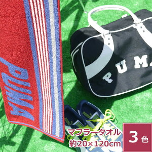 v[} }t[^I PUMA 100% X|[c uh V W ^ ؃g jO      [ f TCY 20cm 120cm