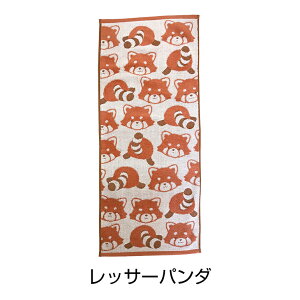 Aj} tFCX ^I 34×80cm 100  Q 킢 ӂӂ  Mtg yM j bT[p_ V}GiK