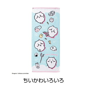  n`  ܂񂶂イ K Z bR V[T[ ꐯ tFCX ^I v[g Mtg w ct w  w j ʉ ʊw q j̎q 