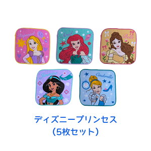qǂp~j^IZbg 5Zbg 15cm×15cm 100@q LN^[ ̎q j̎q w ۈ牀 ct ʉ ʊw v[g Mtg h fBYj[vZX 킨