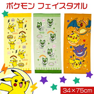 |P tFCX ^I |PbgX^[ v[ |PbgX^[ sJ`E jIn QK[ U[h 34×75cm 킢 j̎q ̎q ċx wZ ii ei