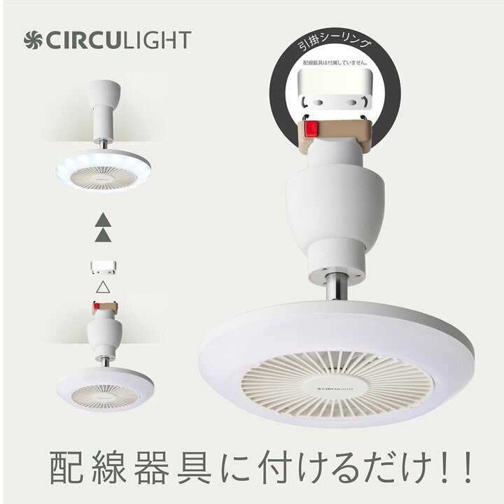 楽天市場】【12/10 2人に1人最大100％ポイントバック】サーキュライト  