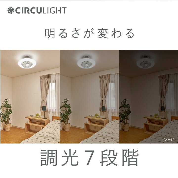 楽天市場】【11/25 2人に1人最大100％ポイントバック】サーキュ 