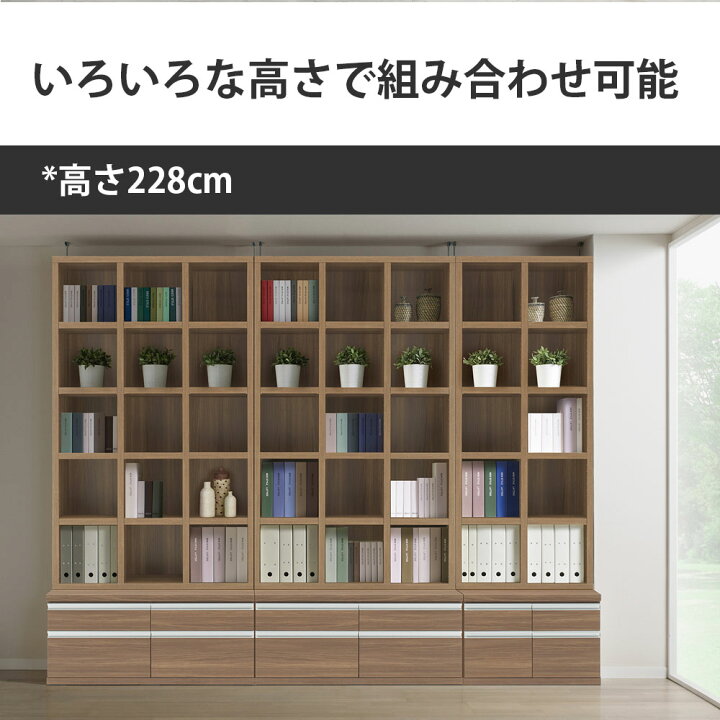 楽天市場】本棚 大容量 ハイタイプ 完成品 二段式 収納 段違い 日本製 