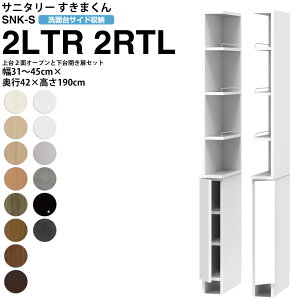 ܂ Tj^[ SNK S ʏTCh[ 2ʃI[v J^Cv 2LTR 2RTL 31-45×s42×190cm Z~I[_[ ʏ h[ { Ƌ