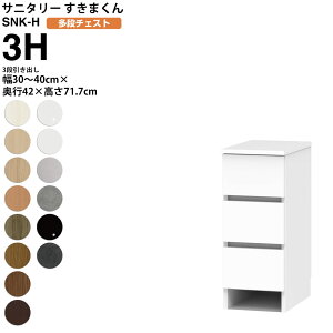 ܂ Tj^[ SNK H i`FXg 3io 3H 30-40×s42×71.7cm Z~I[_[ ʏ h[ { Ƌ