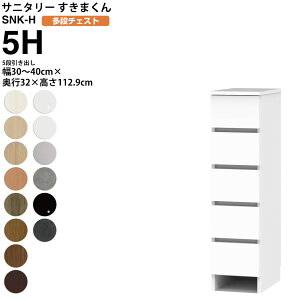܂ Tj^[ SNK H i`FXg 5io 5H 30-40×s32×112.9cm Z~I[_[ ʏ h[ { Ƌ