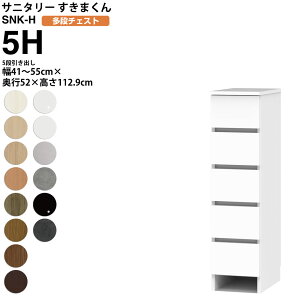y9/20 2l1lő100|CgobNz܂ Tj^[ SNK H i`FXg 5io 5H 41-55×s52×112.9cm Z~I[_[ ʏ h[ { Ƌ