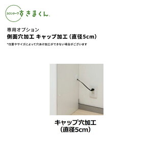 ʌH LbvHia5cmj ܂ JE^[ IvV