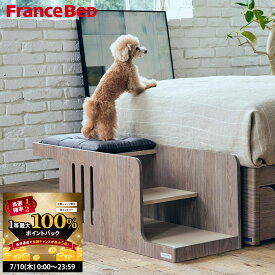 【7/10 2人に1人最大100％ポイントバック】フランスベッド フランスペット ペットステップベンチ PE01 犬