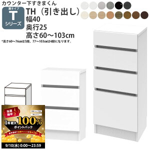 y9/10 2l1lő100|CgobNz܂ JE^[ [ JV[Yp o 40×s25×60-103cm CSD-TH-25 ܂V[Y JE^[[ Z~I[_[ _V