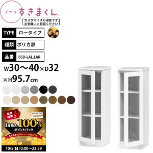 y10/5 2l1lő100|CgobNz܂ {I i gsv ubN [^Cv |J 30-40×s32×95.7cm BSD-LAL LGR_ Z~I[_[