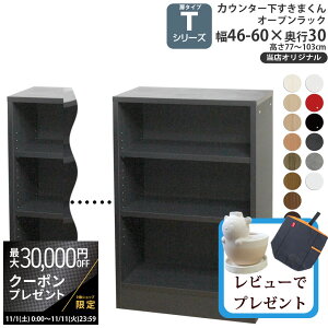 yő3~N[|zzzJE^[ [ I[vbN s30cm^Cv T ܂ XIWi JV[Yp IWi 46-60×s28×60-103cm JE^[[_ Z~