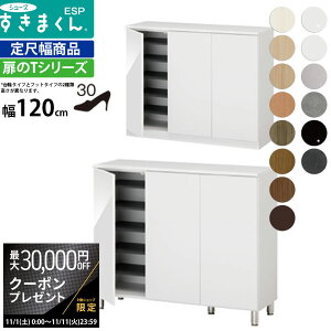 yő3~N[|zzz܂ V[Y {bNX ESP-LT120 ESP-FLT120 120×s40.5×Fփ^Cv95.7 tbg^Cv100.2cm ʔ_ V[YbN [^Cv ESP-FLT120 Z~I[_[