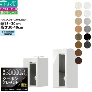 yő3~N[|zzz܂ V[Y {bNXbNpu ESP-UT 15-30×s39.7×30-40cm  u^Cv Z~I[_[ tWC i_ {  k Ƌ 