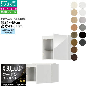 yő3~N[|zzz܂ V[Y {bNXbNpu ESP-UT 31-45×s39.7×41-60cm  u^Cv Z~I[_[ tWC i_ {  k Ƌ 