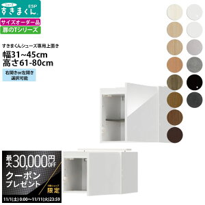 yő3~N[|zzz܂ V[Y {bNXbNpu ESP-UT 31-45×s39.7×61-80cm  u^Cv Z~I[_[ tWC i_ {  k Ƌ 