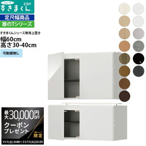 yő3~N[|zzz܂ V[Y {bNXbNpu ESP-UWT60 60×s39.7×30-40cm u^Cv Z~I[_[ tWC i_ {  k Ƌ  