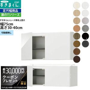 yő3~N[|zzz܂ V[Y {bNXbNpu ESP-UWT75 75×s39.7×30-40cm u^Cv Z~I[_[ tWC i_ {  k Ƌ  