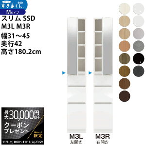 yő3~N[|zzz܂ X SSD  [Ƌ  Z~I[_[ ~[Lrlbg 31-45×s42×180.2cm SSD M3L M3R_ VXL}  _