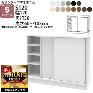 y11/5 2l1lő100|CgobNz܂ JE^[ [  S120 120cm×s30cm×60-103cm CSD-S120-30 ˃^Cv SV[Y [ ^ i { Y HI tWC_ 