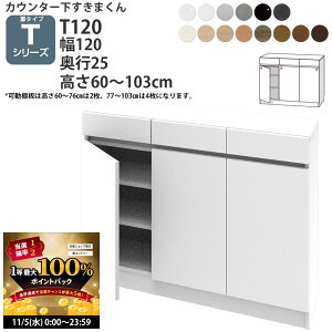 y11/5 2l1lő100|CgobNz܂ JE^[ [ J 120×s25×60-103cm CSD-T120-25 ܂V[Y JE^[[ Z~I[_[ V 