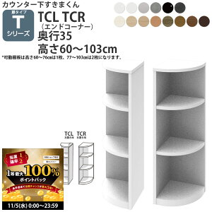 y11/5 2l1lő100|CgobNz܂ JE^[ [ J^Cvp GhR[i[ s35cm^Cv 60-103cm CSD-TCL-35 CSD-TCR-35 ܂V[Y JE^[[_ Z