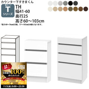 y11/5 2l1lő100|CgobNz܂ JE^[ [ JV[Yp IWi o 41`60×s25×60-103cm CSD-TH-25 ܂V[Y JE^[[_ Z