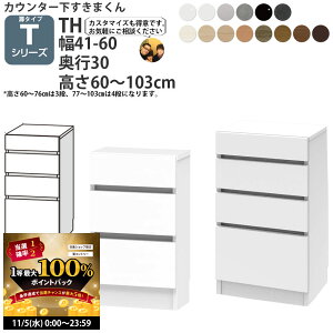 y11/5 2l1lő100|CgobNz܂ JE^[ [ JV[Yp IWi o 41`60×s30×60-103cm CSD-TH-30 ܂V[Y JE^[[_ Z