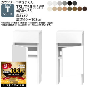 y11/5 2l1lő100|CgobNz܂ JE^[ [ zLrlbg JV[Yp 30-55×s20×60-103cm CSD-TSL CSD-TSR ܂V[Y JE^[