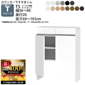 y11/5 2l1lő100|CgobNz܂ JE^[ [ zLrlbg JV[Yp 56-80×s20×60-103cm CSD-TS ܂V[Y JE^[[ 