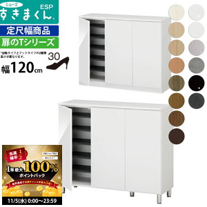 yő3~N[|zzz܂ V[Y {bNX ESP-LT120 ESP-FLT120 120×s40.5×Fփ^Cv95.7 tbg^Cv100.2cm ʔ_ V[YbN [^Cv ESP-FLT120 Z~I[_[