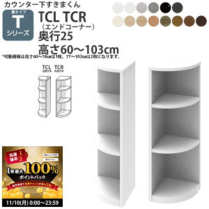 y11/10 2l1lő100|CgobNz܂ JE^[ [ J^Cvp GhR[i[ s25cm^Cv 60-103cm CSD-TCL-25 CSD-TCR-25 ܂V[Y JE^[[_ Z