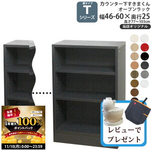 y11/10 2l1lő100|CgobNzJE^[ [ I[vbN s25cm^Cv T ܂ XIWi JV[Yp IWi 46-60×s23×60-103cm JE^[