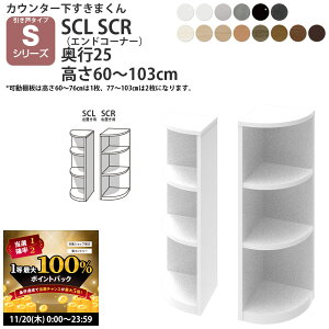 y11/20 2l1lő100|CgobNz܂ JE^[ [ ˃^Cvp GhR[i[ 25×s25×60-103cm CSD-SCL-25 CSD-SCR-25 ܂V[Y JE^[[_ Z~