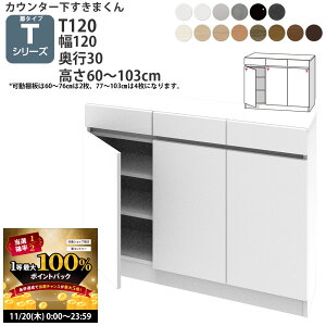 y11/20 2l1lő100|CgobNz܂ JE^[ [ J 120×s30×60-103cm CSD-T120-30 ܂V[Y JE^[[ Z~I[_[ V 