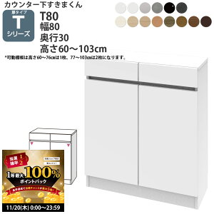 y11/20 2l1lő100|CgobNz܂ JE^[ [ J 80×s30×60-103cm CSD-T80-30 ܂V[Y JE^[[ Z~I[_[ V 