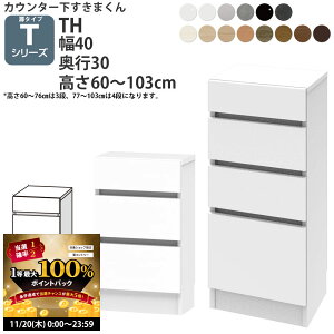 y11/20 2l1lő100|CgobNz܂ JE^[ [ JV[Yp o 40×s30×60-103cm CSD-TH-30 ܂V[Y JE^[[ Z~I[_[ _V