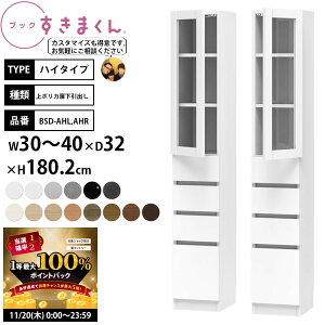 y11/20 2l1lő100|CgobNz܂ {I i gsv ubN nC^Cv |Jo 30-40×s32×180.2cm BSD-AHL AHR_ Z~I[_[