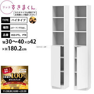 y11/20 2l1lő100|CgobNz܂ {I i gsv ubN nC^Cv I[v 30-40×s42×180.2cm BSD-PTL PTR_ Z~I[_[